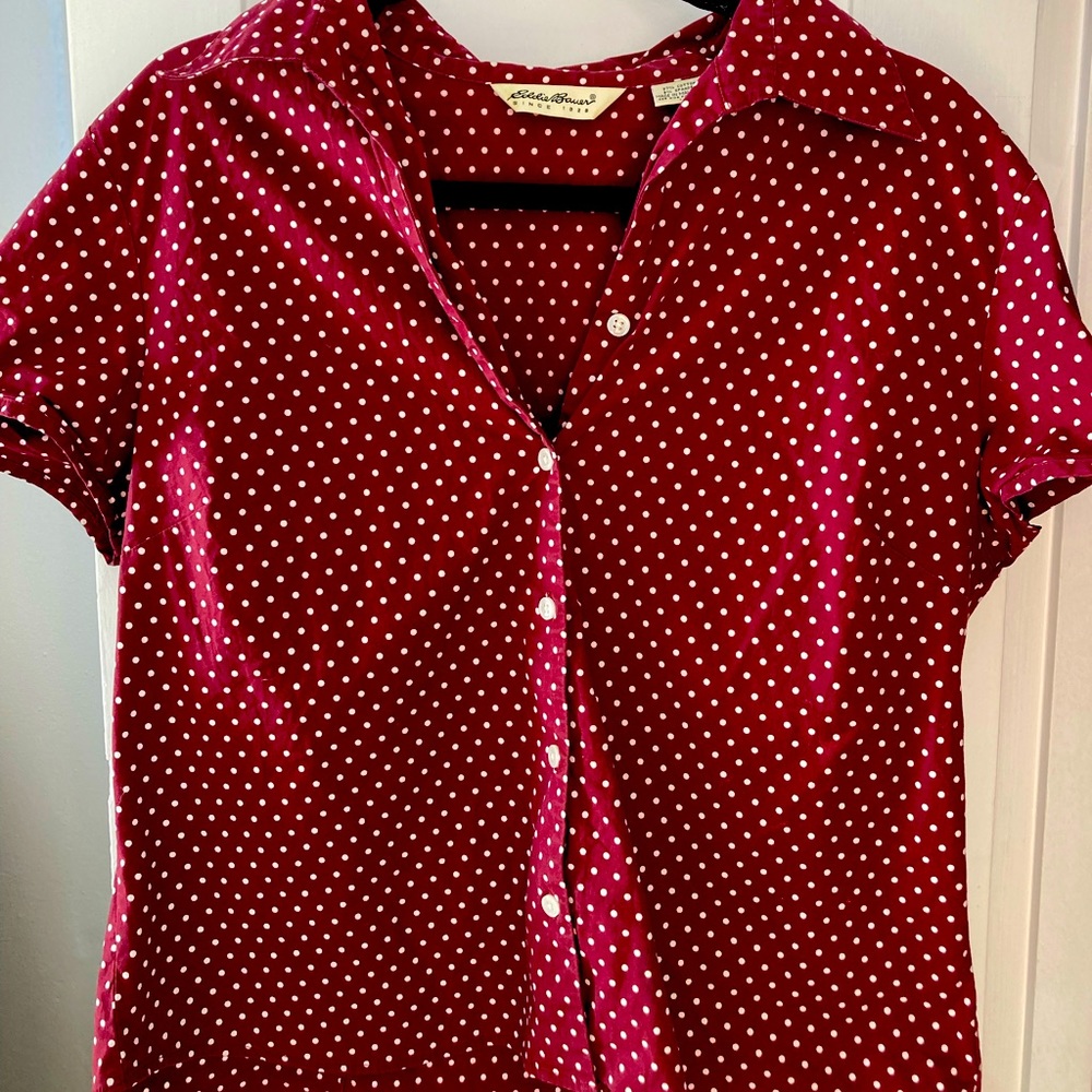 Eddie Bauer Polo. Polka Dotted size M